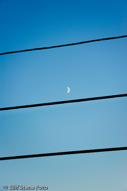 DLWS 2008